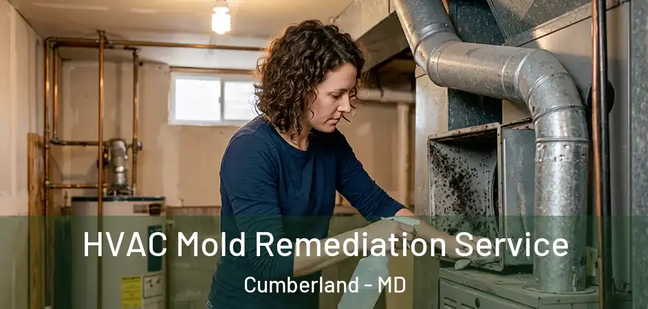 HVAC Mold Remediation Service Cumberland - MD
